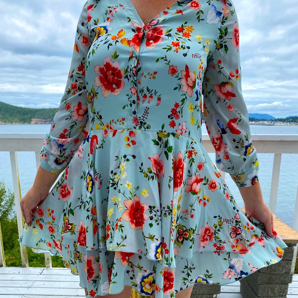 Alice + Olivia size 10 midi dress.